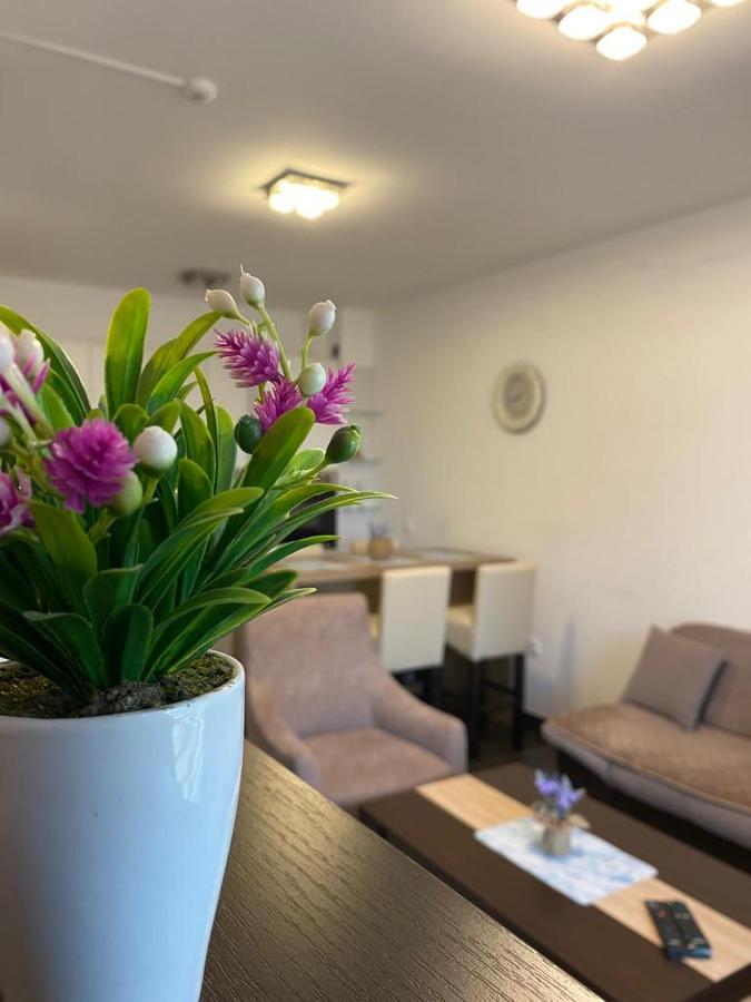 Zlatibor Hills Sky Apartment Ngoại thất bức ảnh